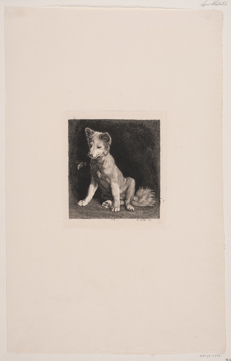 The Dog and the Bee by Axel Helsted