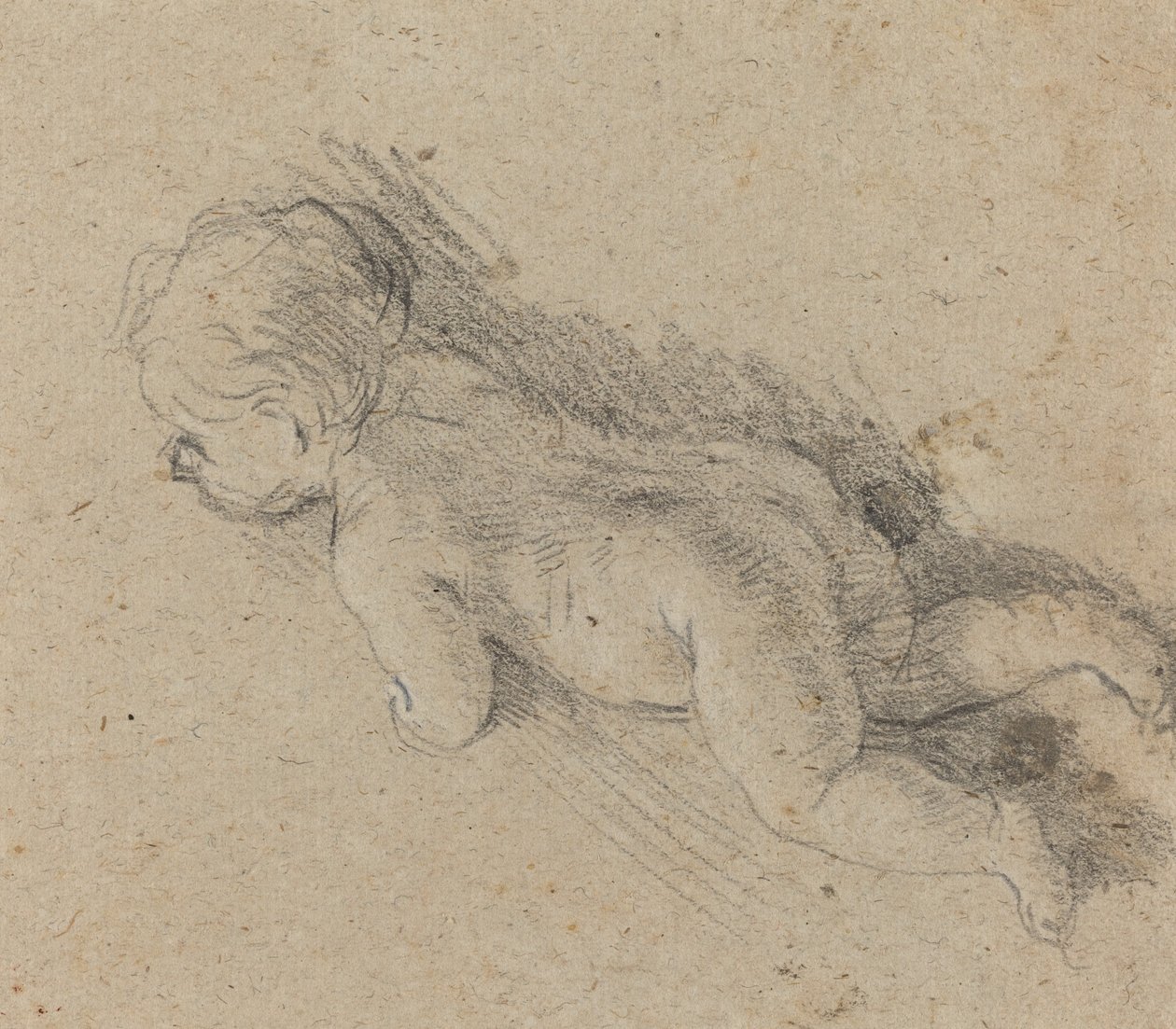Baby by Baldassare Franceschini