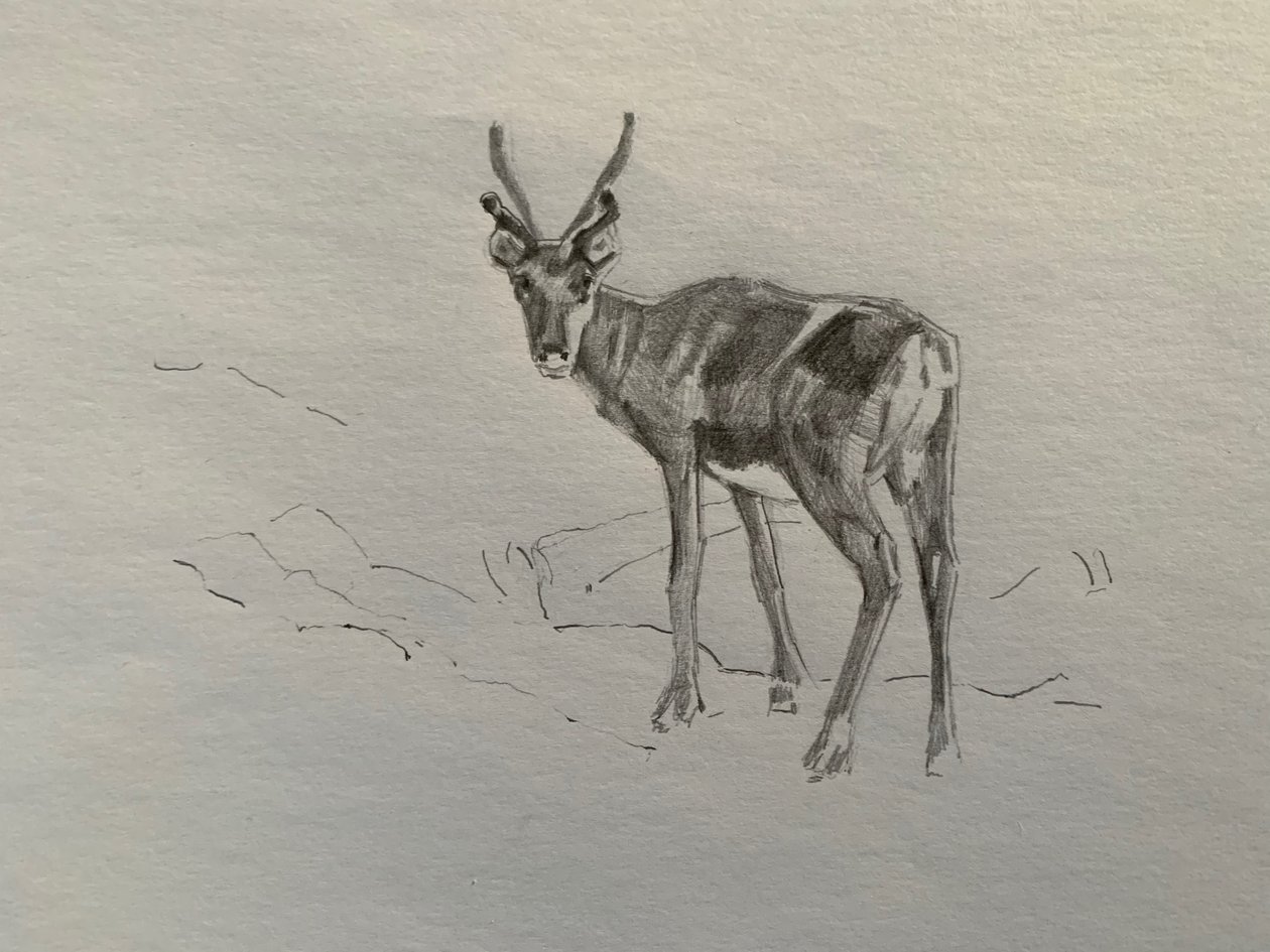 Reindeer by Barbara Hoogeweegen