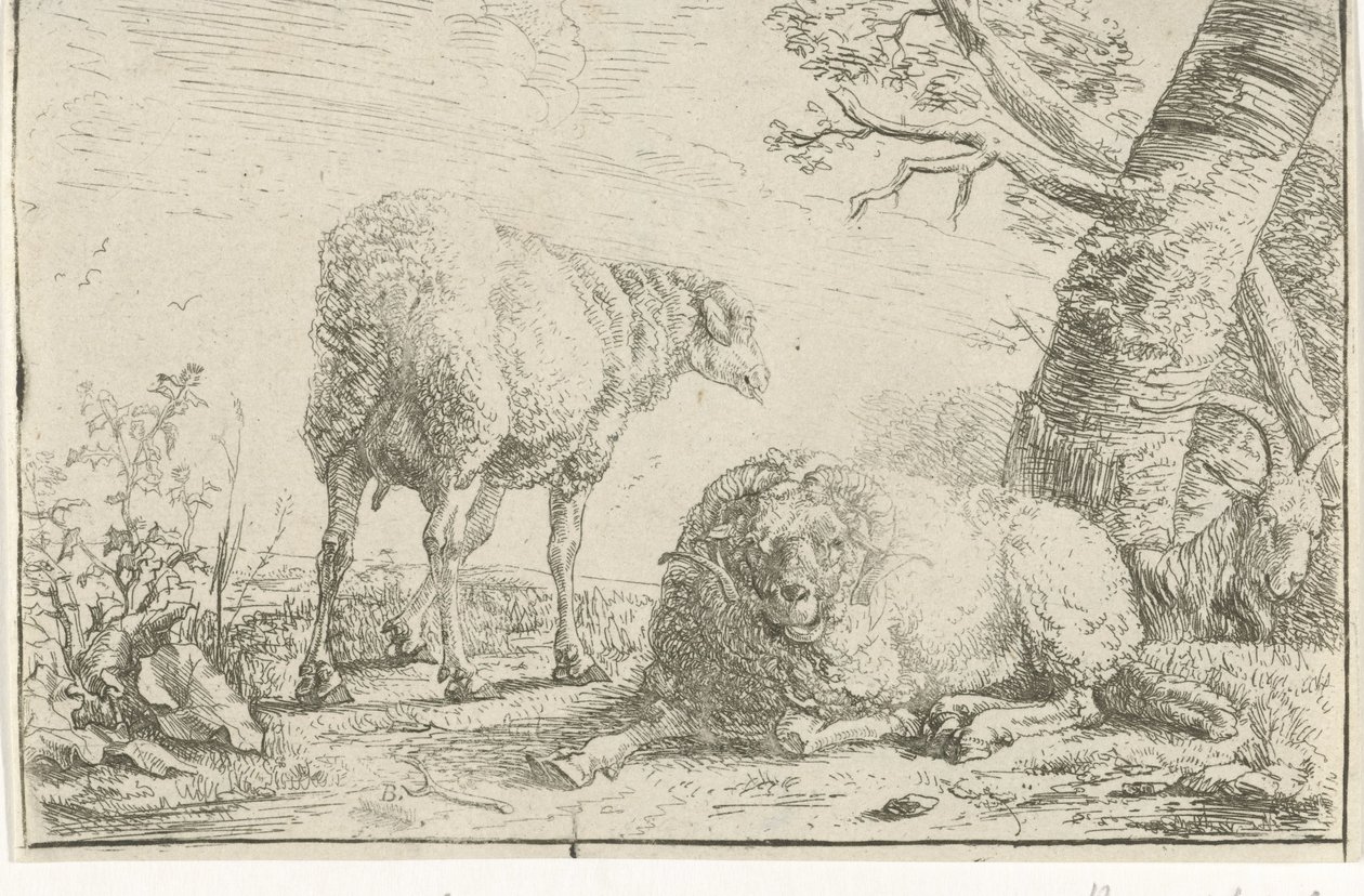 Two Sheep and a Goat by Barend Graat