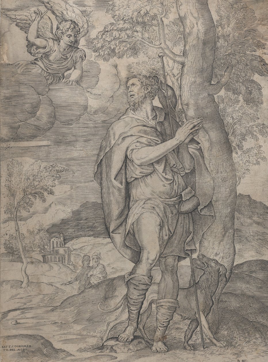 Saint Roch by Battista del Moro