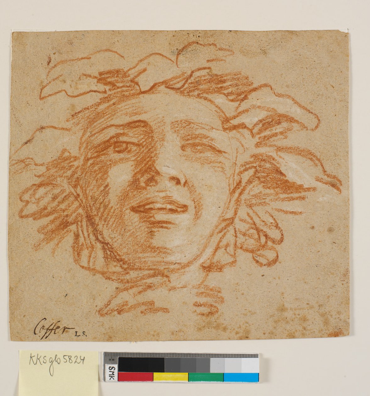 Face of a Faun? by Benoît Le Coffre