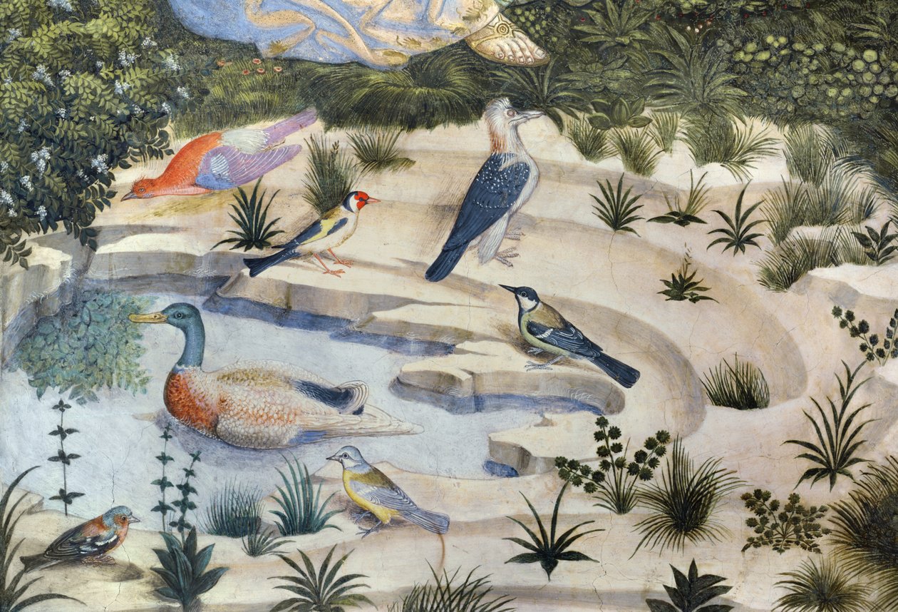 Birds around a pond (detail) by Benozzo di Lese di Sandro Gozzoli