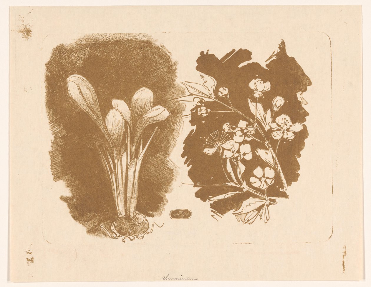 Crocuses and a Branch with Blossom by Bernard Willem Wierink