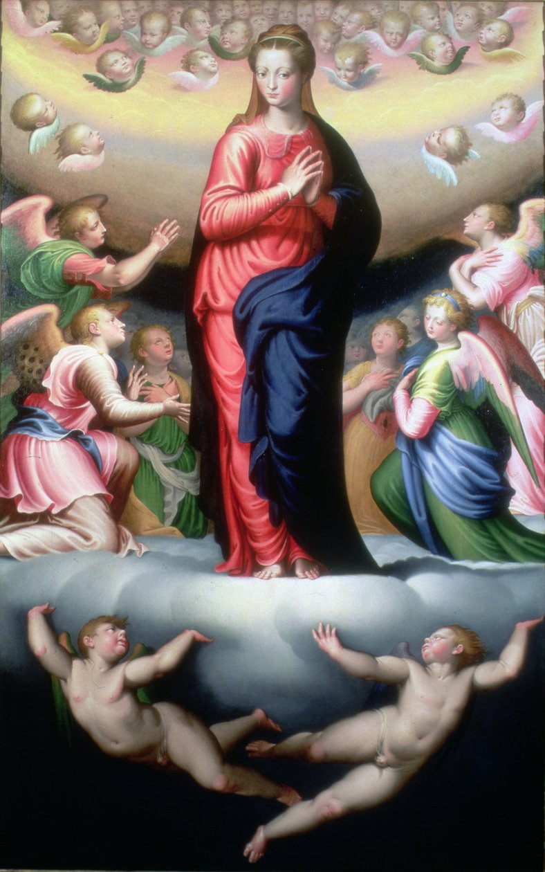 Madonna in Glory by Bernardino Campi