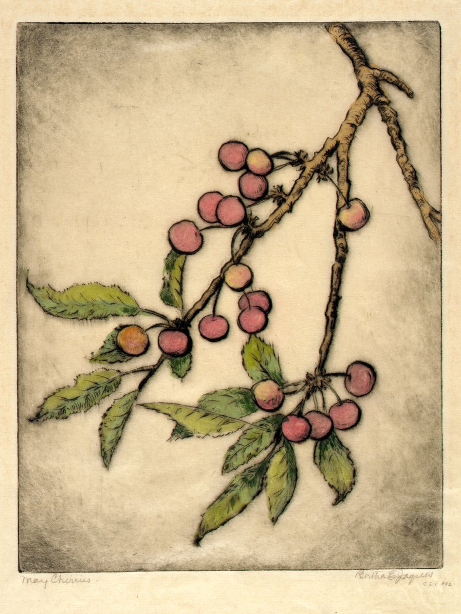 May Cherries by Bertha E. Jaques