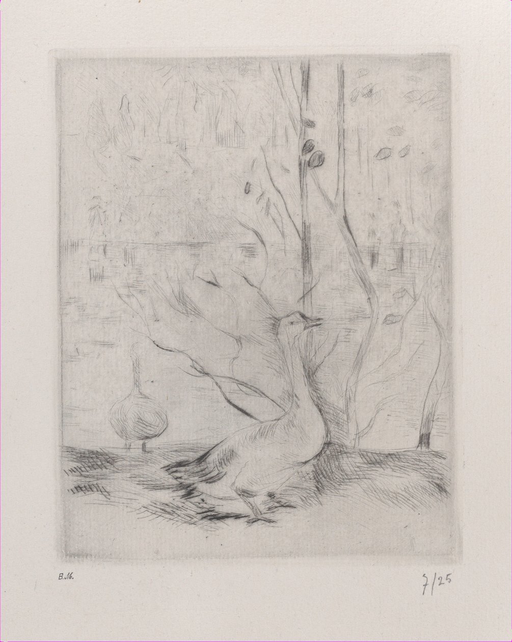 Goose, 1889 by Berthe Morisot