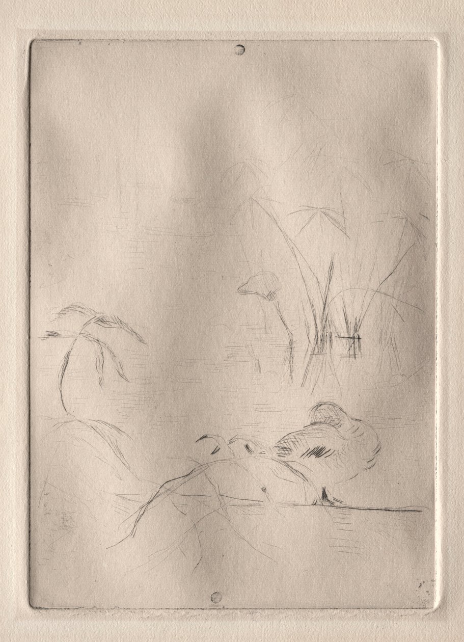 The Duck by Berthe Morisot