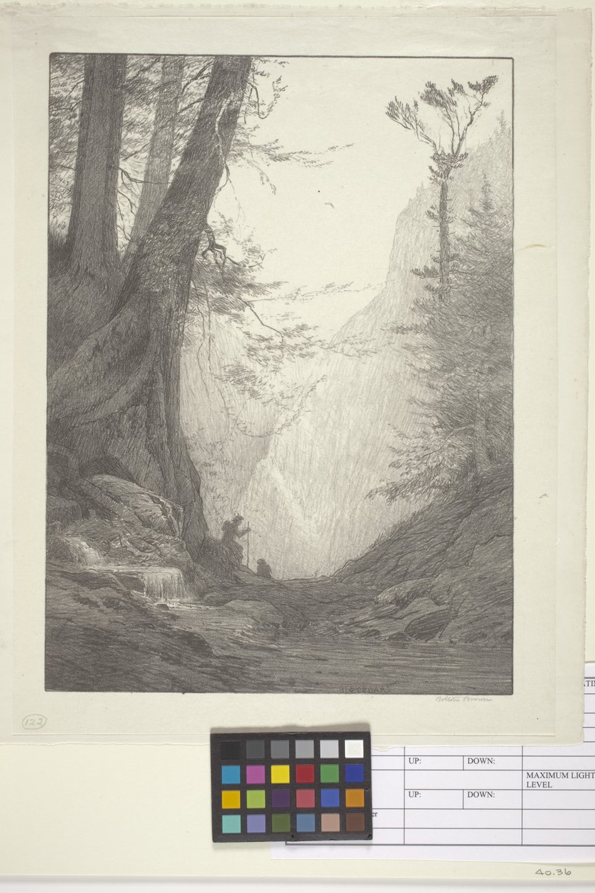 Big Cedars by Bolton Coit Brown