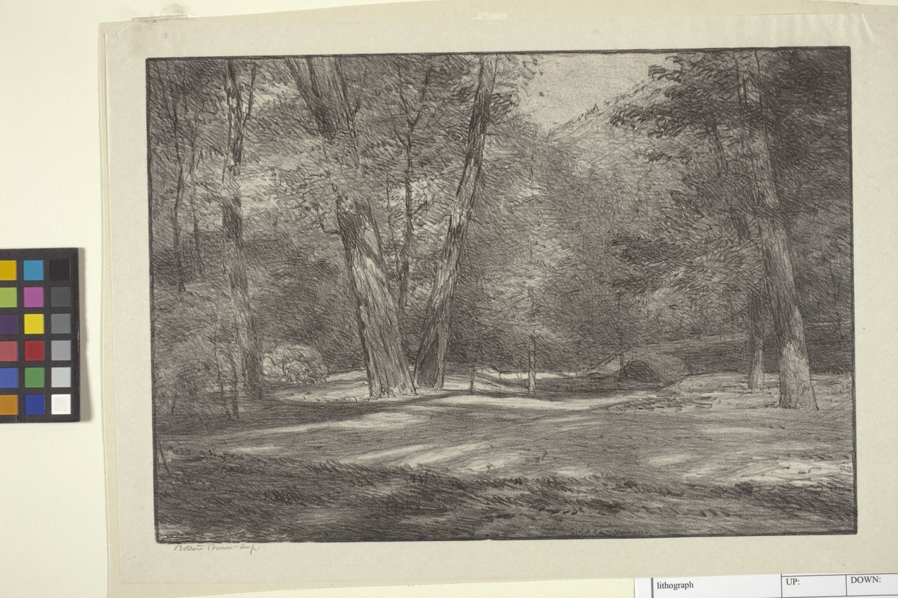 Sierra Woods by Bolton Coit Brown