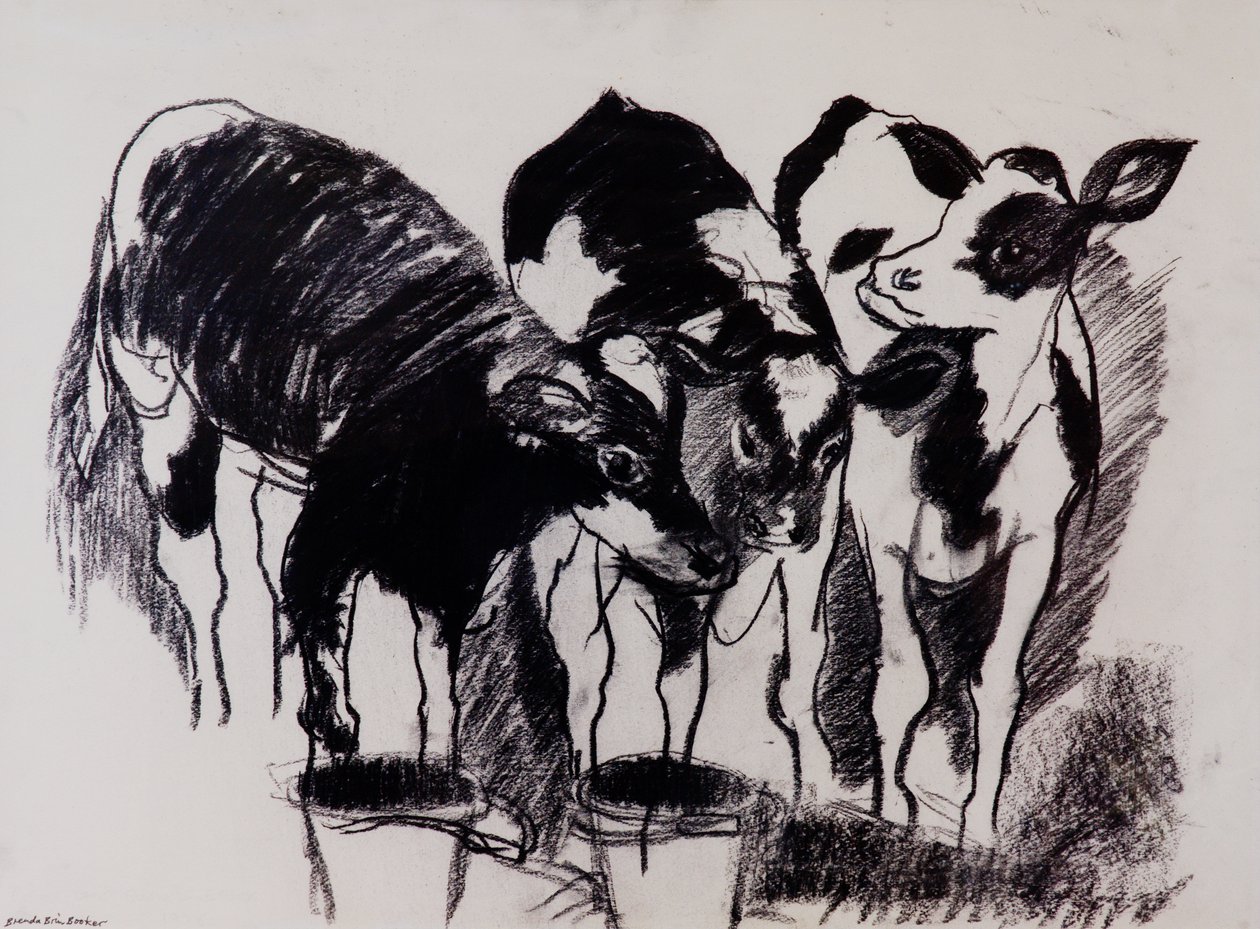 The New Calves by Brenda Brin Booker