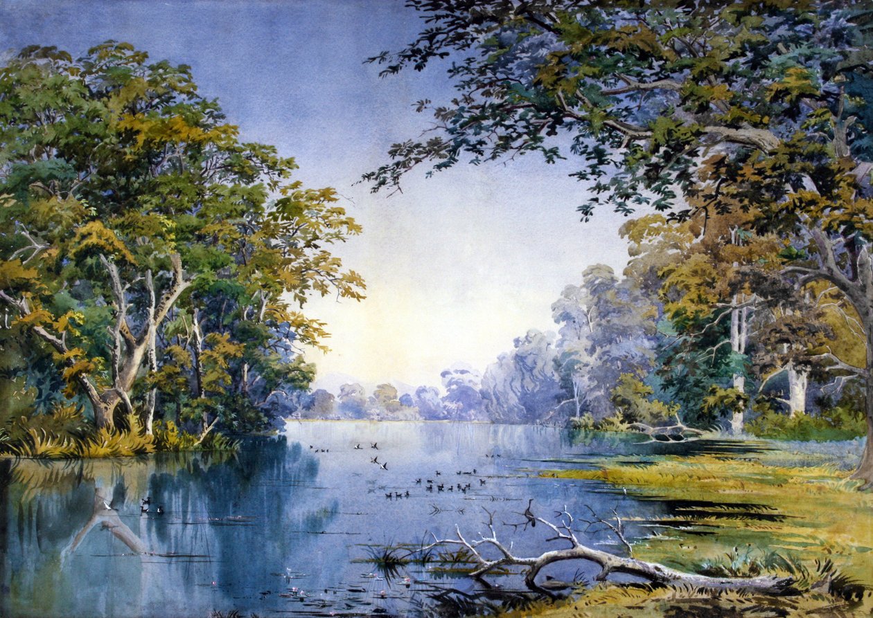 A Wooded River by British School