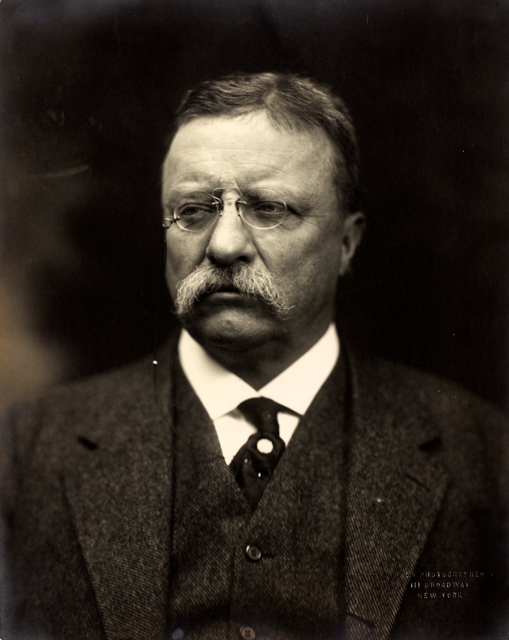 Theodore Roosevelt by Brothers Pach