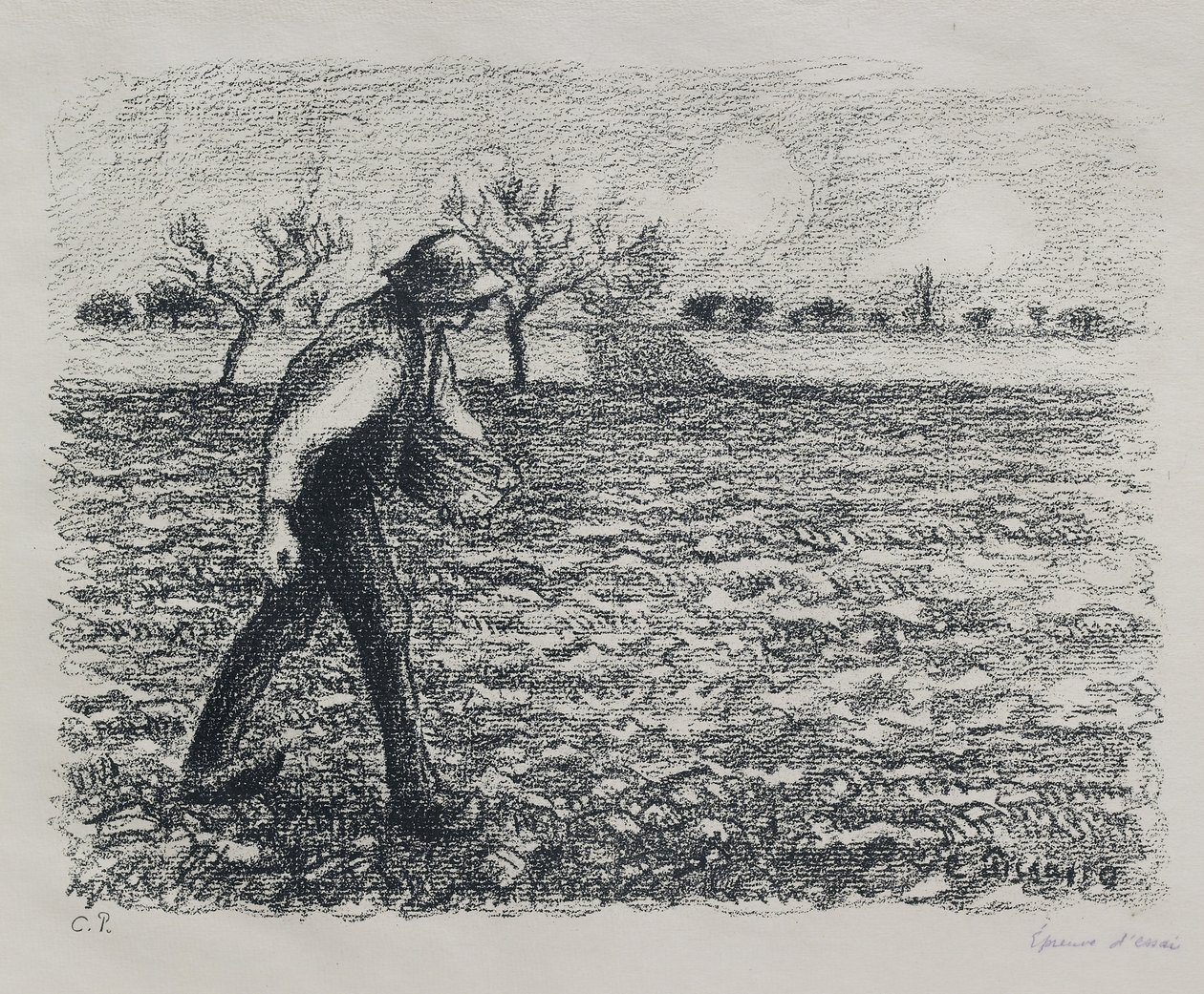 Sower, 1896 by Camille Jacob Pissarro