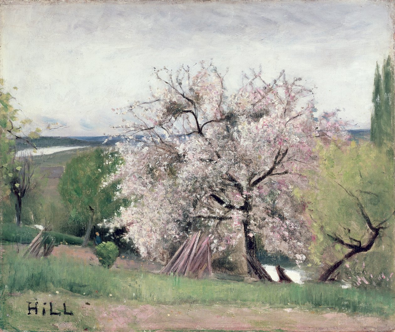 Fruit Tree in Blossom, Bois-le-Roi by Carl Fredrik Hill