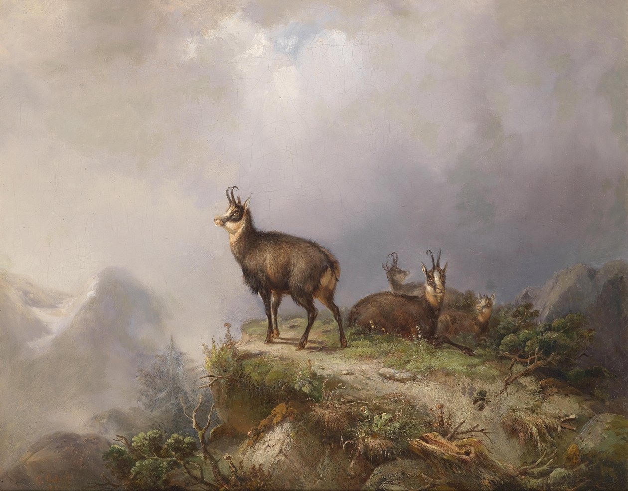 Chamois by Carl Friedrich Ockert