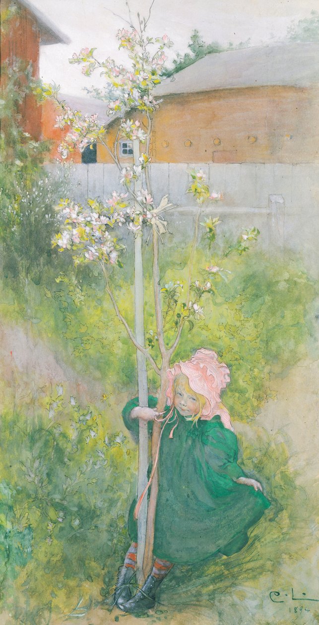 Appleblossom by Carl Larsson