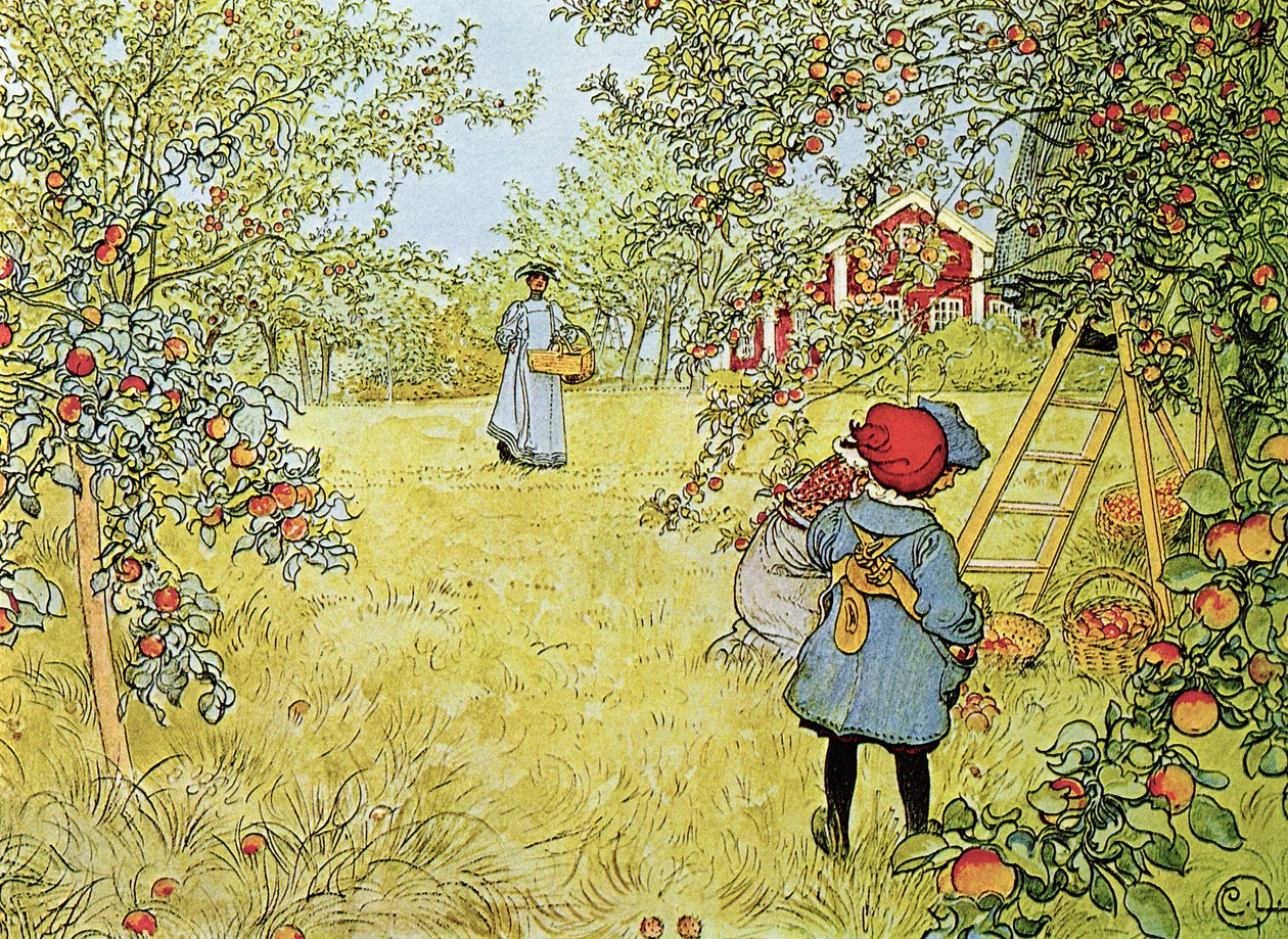 The Apple Harvest by Carl Larsson