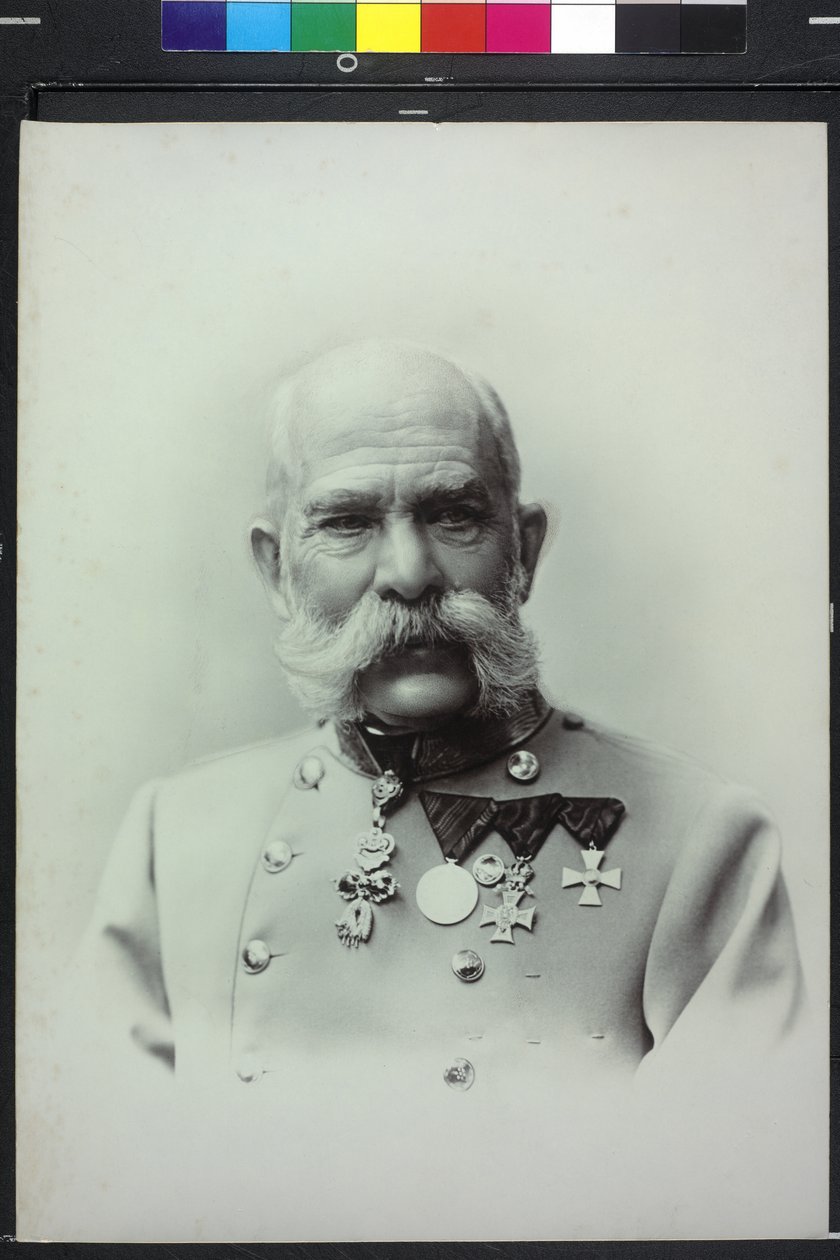 Franz Joseph I by Carl Pietzner