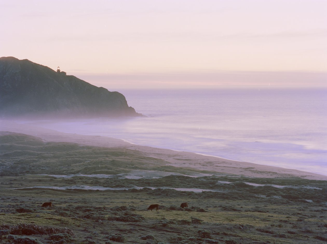 Big Sur, 2014 by Carli Choi