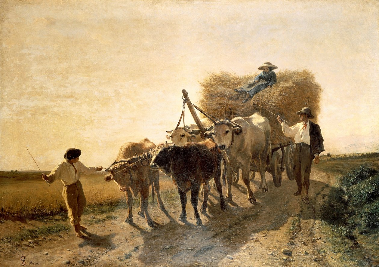 Harvest by Carlo Pittara
