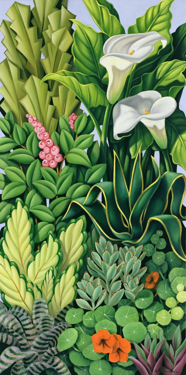 Foliage I by Catherine Abel