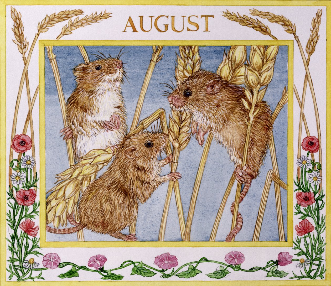 August by Catherine Bradbury