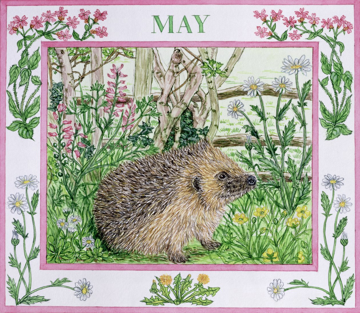 May by Catherine Bradbury