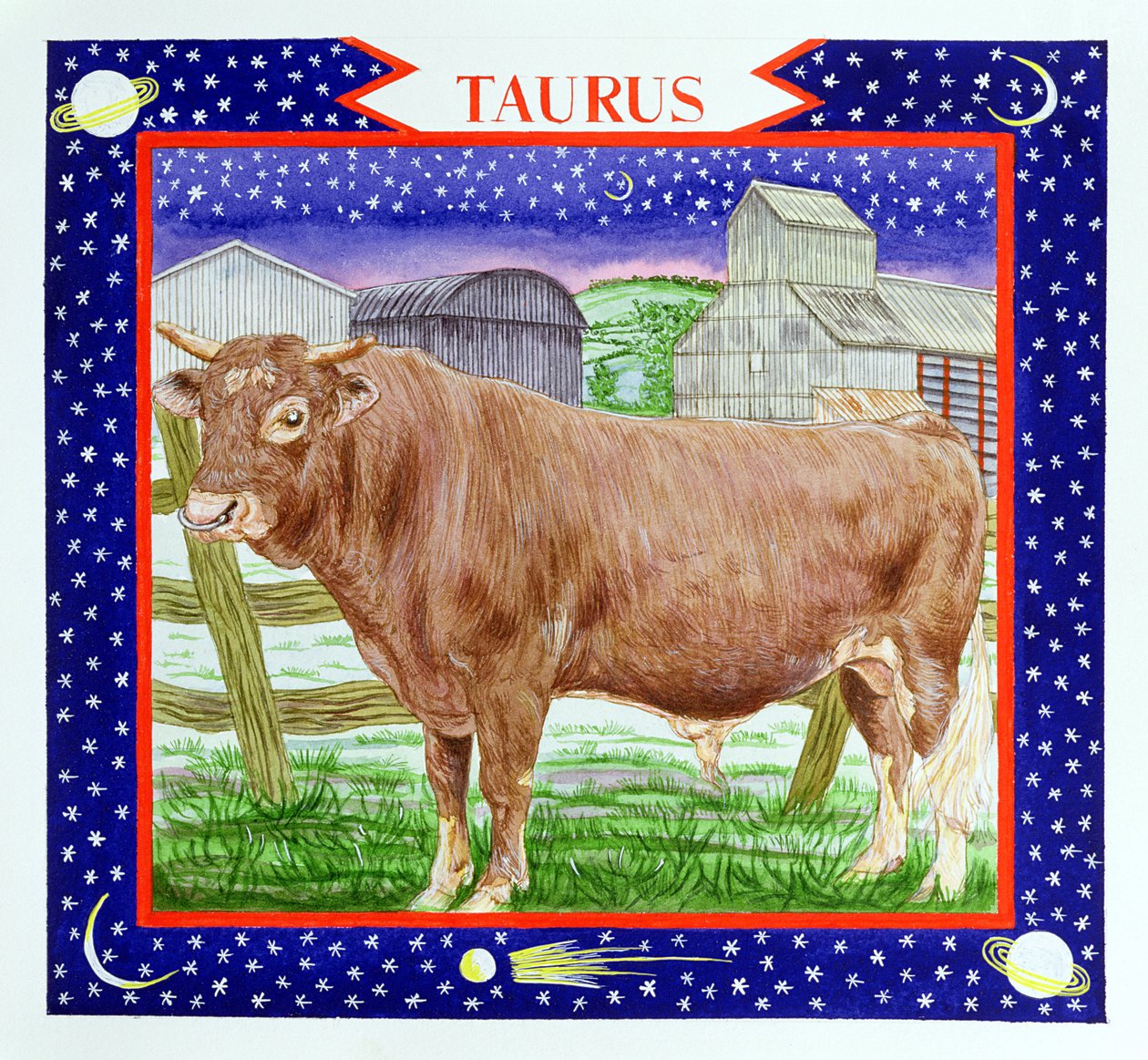 Taurus by Catherine Bradbury