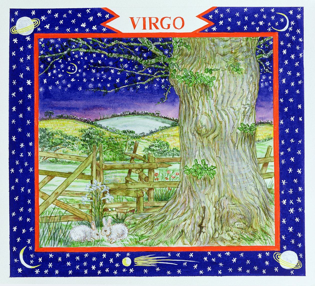 Virgo by Catherine Bradbury
