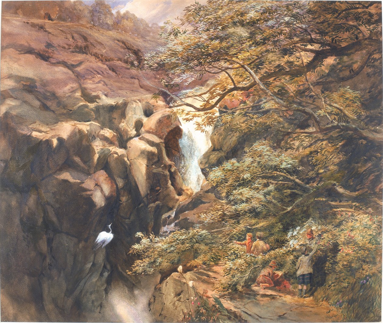 Falls of Bran by Charles Richardson