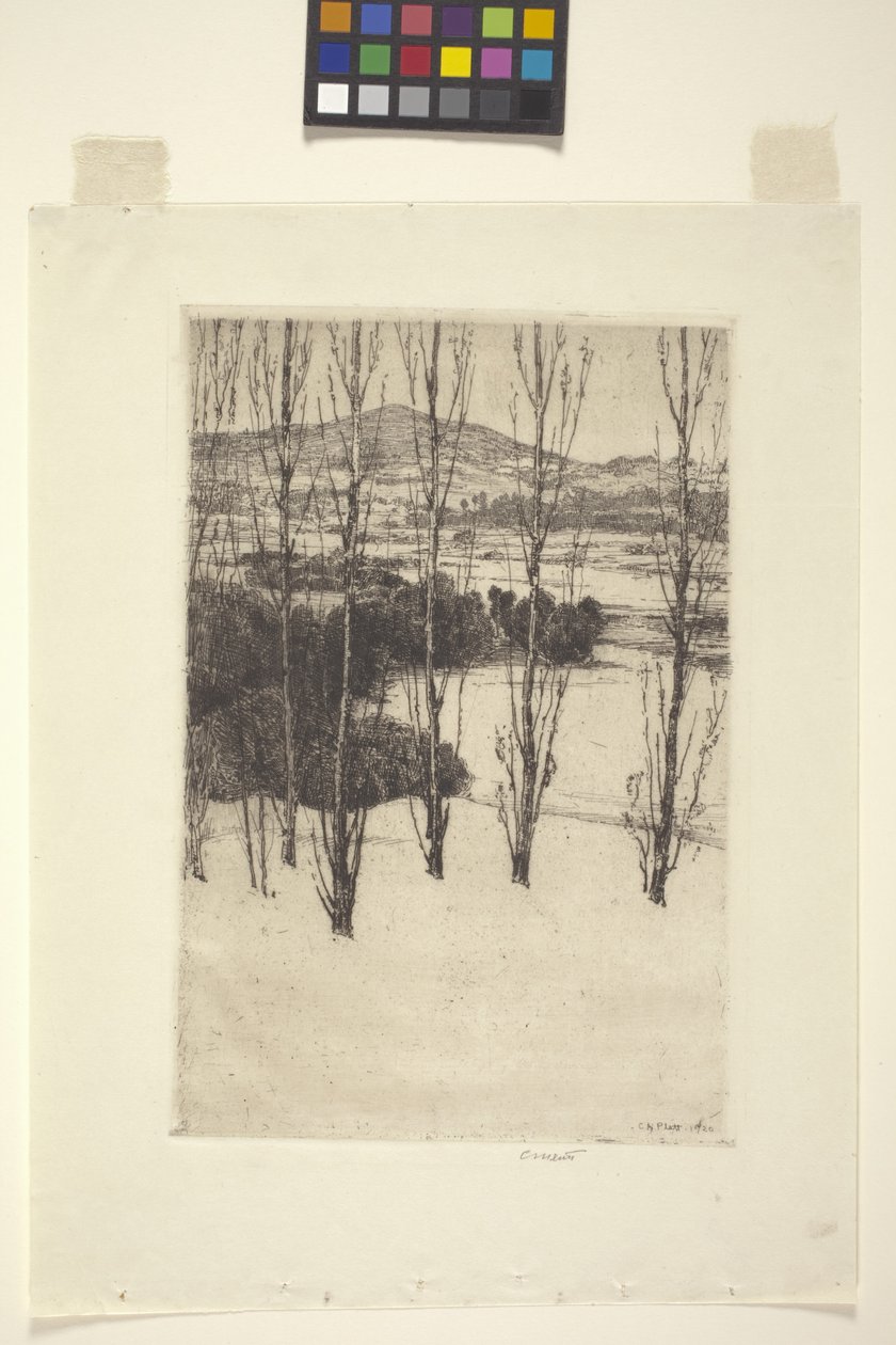 The Mountain by Charles Adams Platt