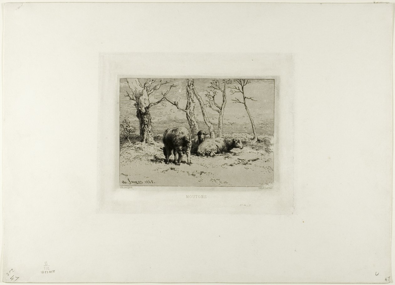 Sheep by Charles Emile Jacque