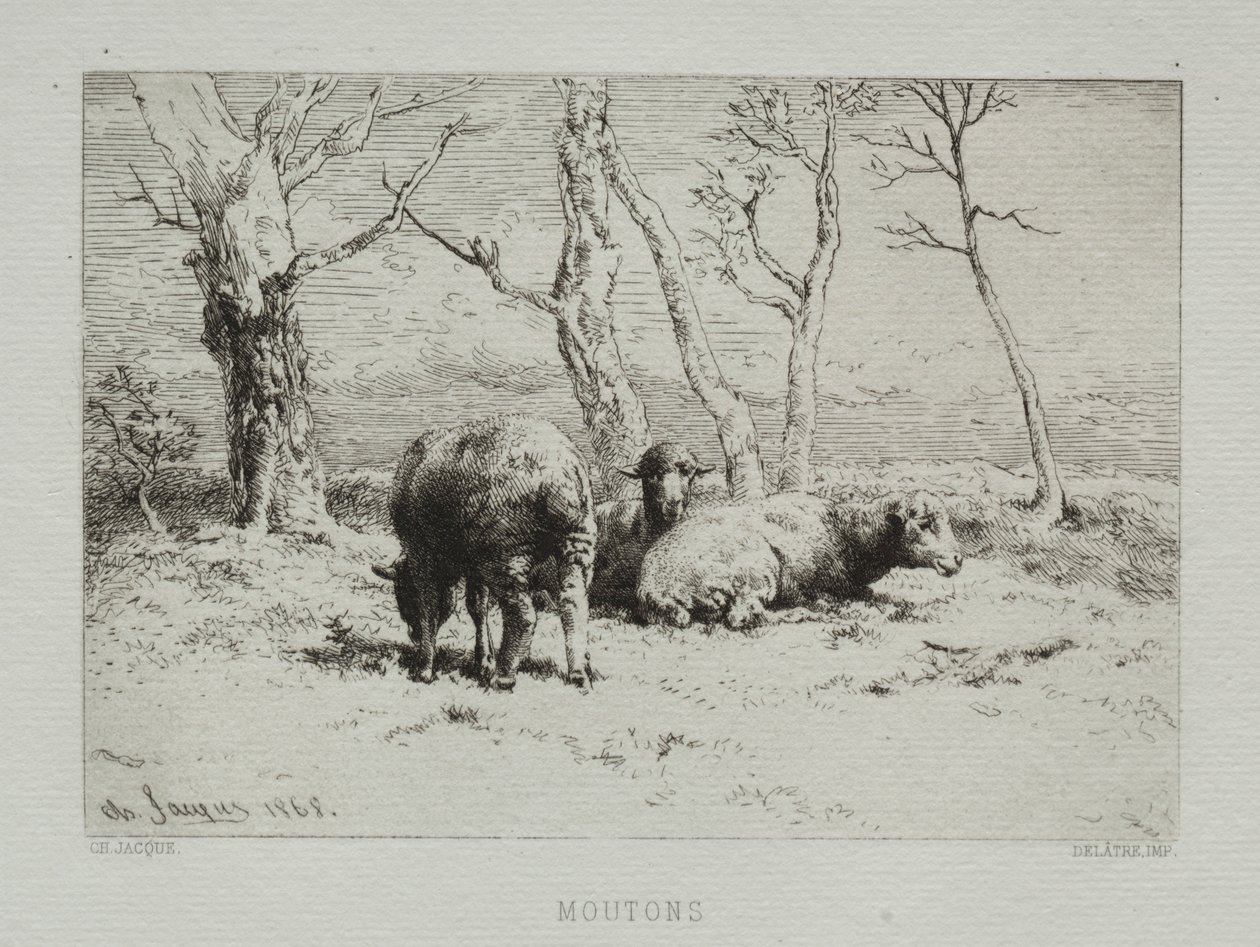 Sheep, 1868 by Charles Emile Jacque