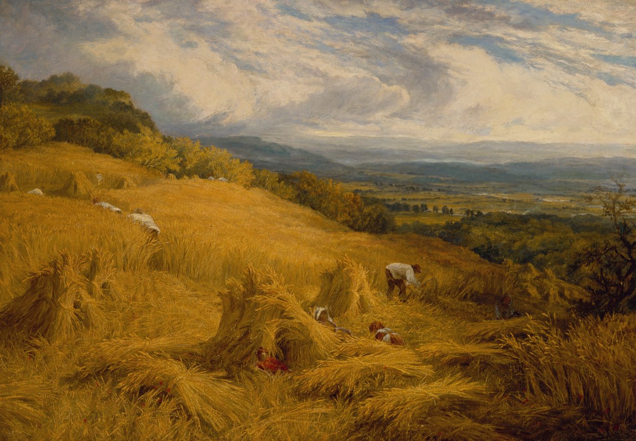 The Harvest by Charles Henry Passey