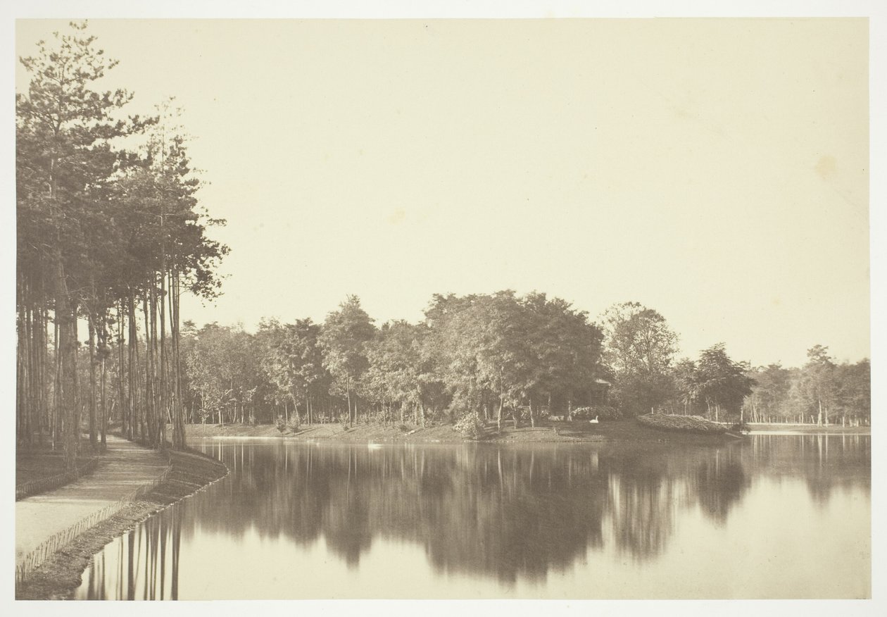 Untitled by Charles Marville