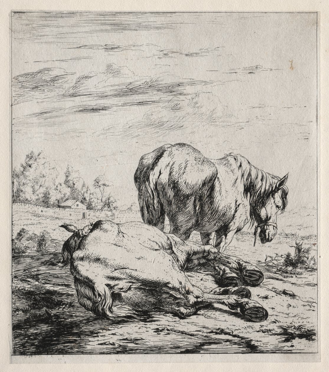 The Two Horses by Charles Meryon
