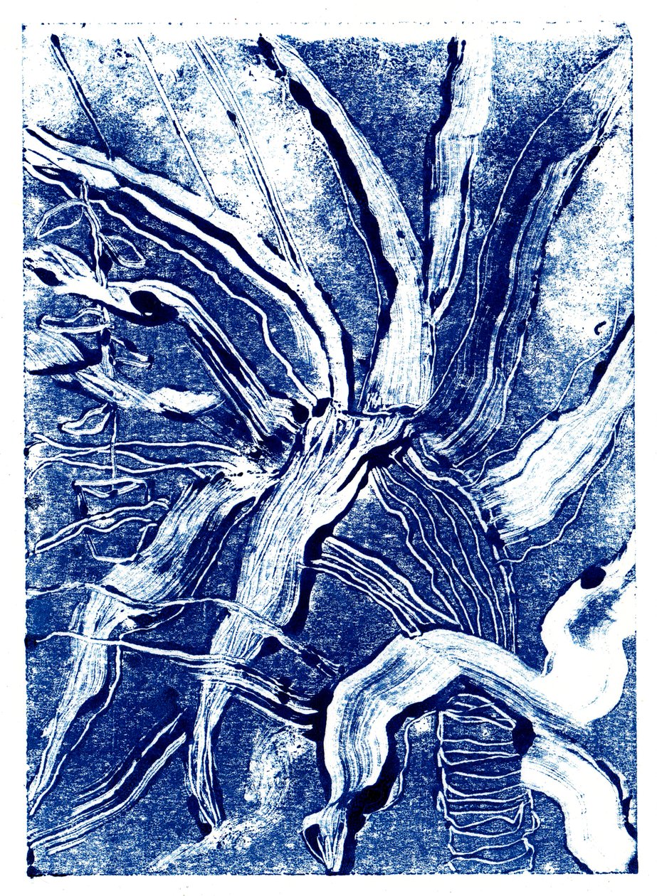Inky Plants no.2 by Charlotte Orr