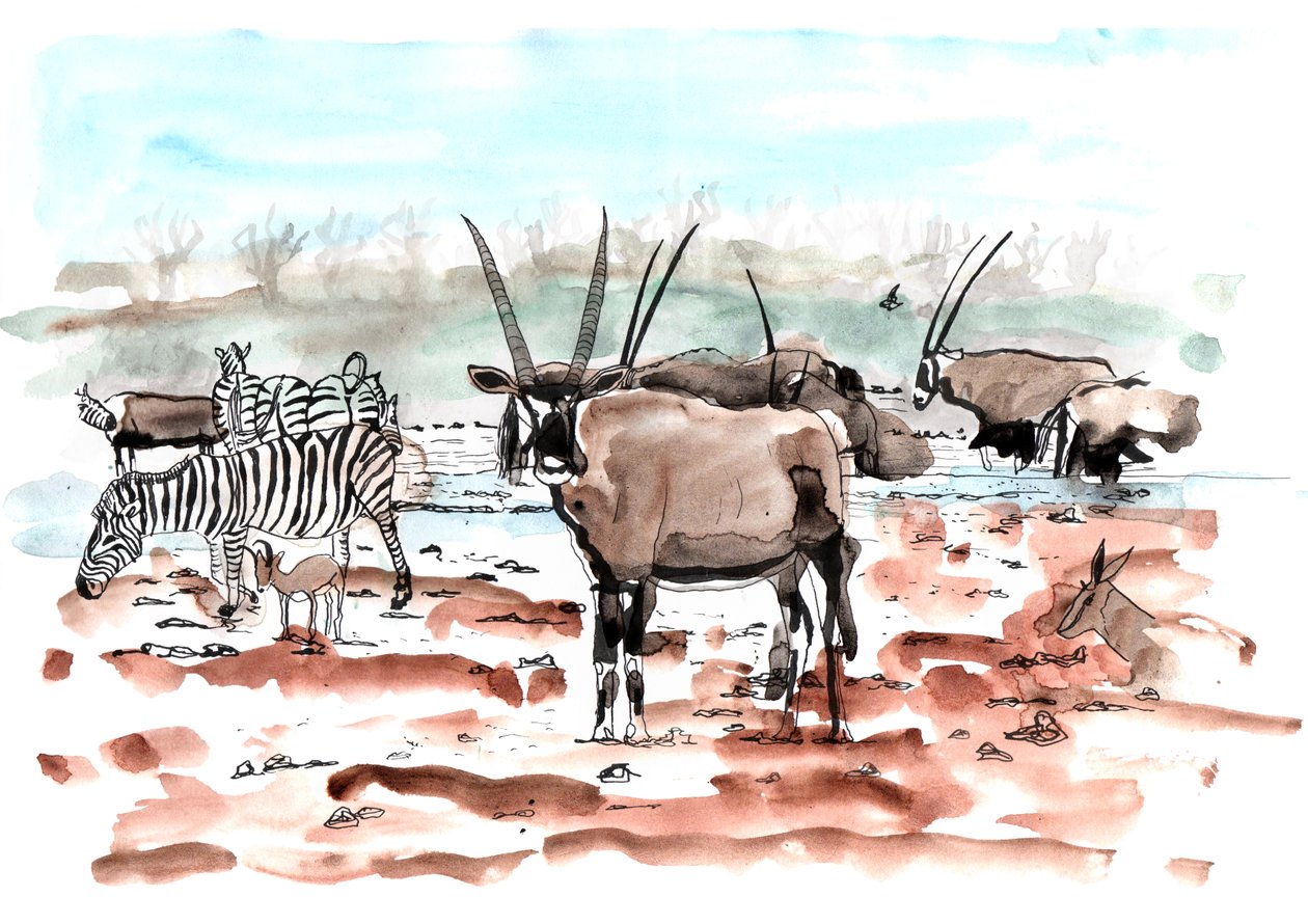 Safari, 2018 by Charlotte Orr