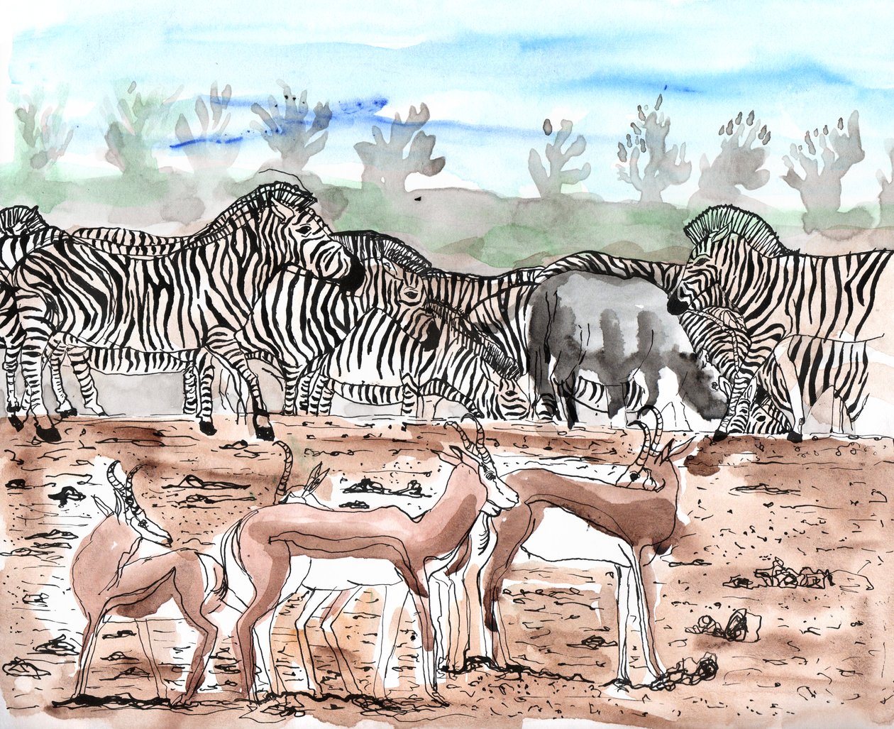 Safari 3 by Charlotte Orr