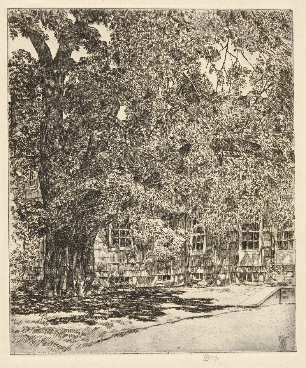 Giant Elm by Childe Hassam