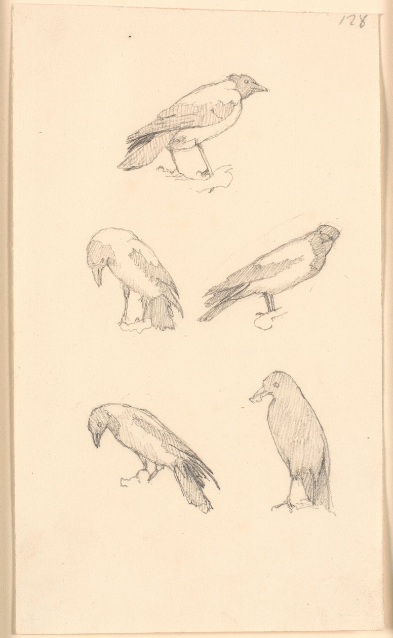 Crows by Christen Købke