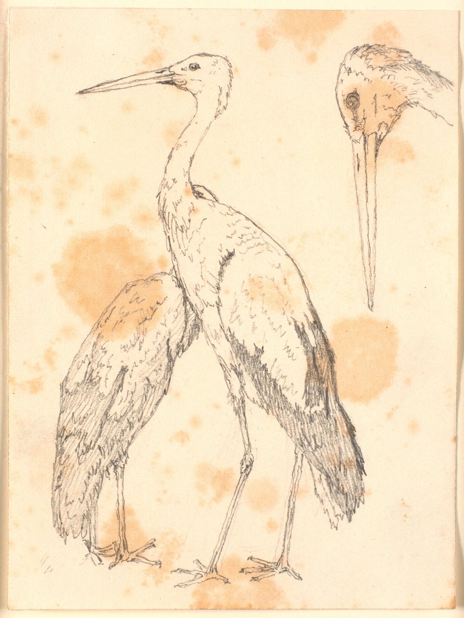 Storks by Christen Købke