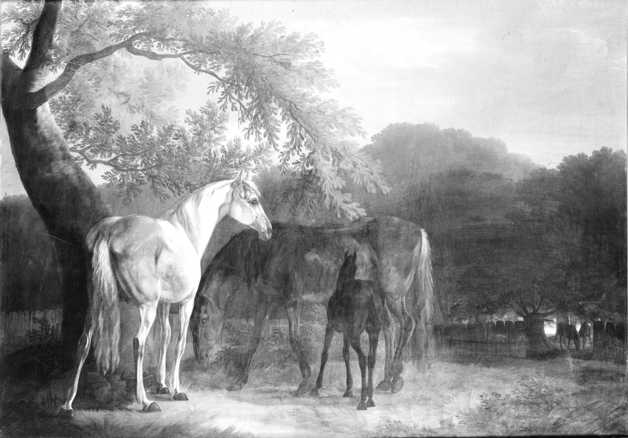 Horses in a Forest Area by Christian David Gebauer