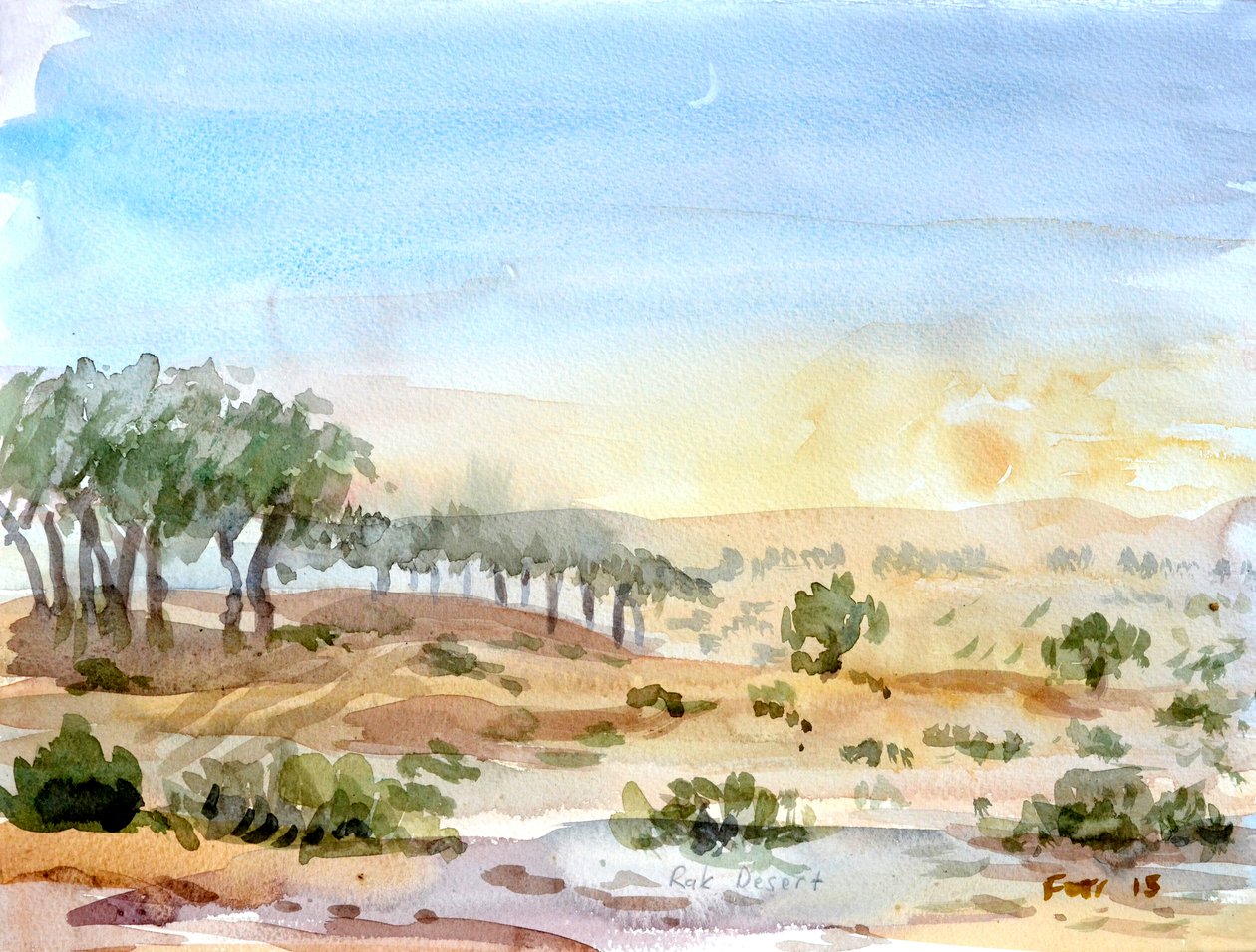 Rak Desert by Christian Furr