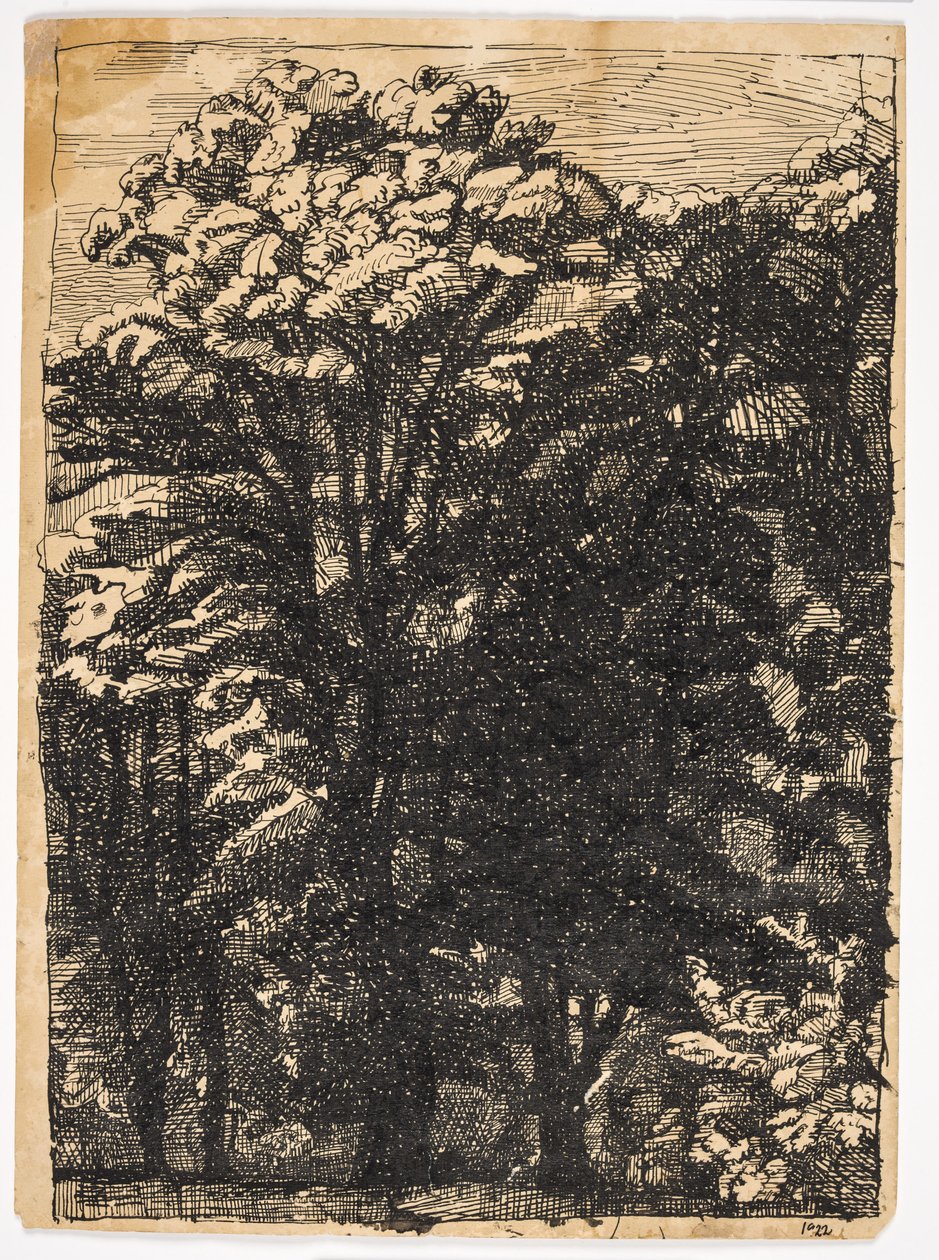 Trees by Christian Kongstad Petersen
