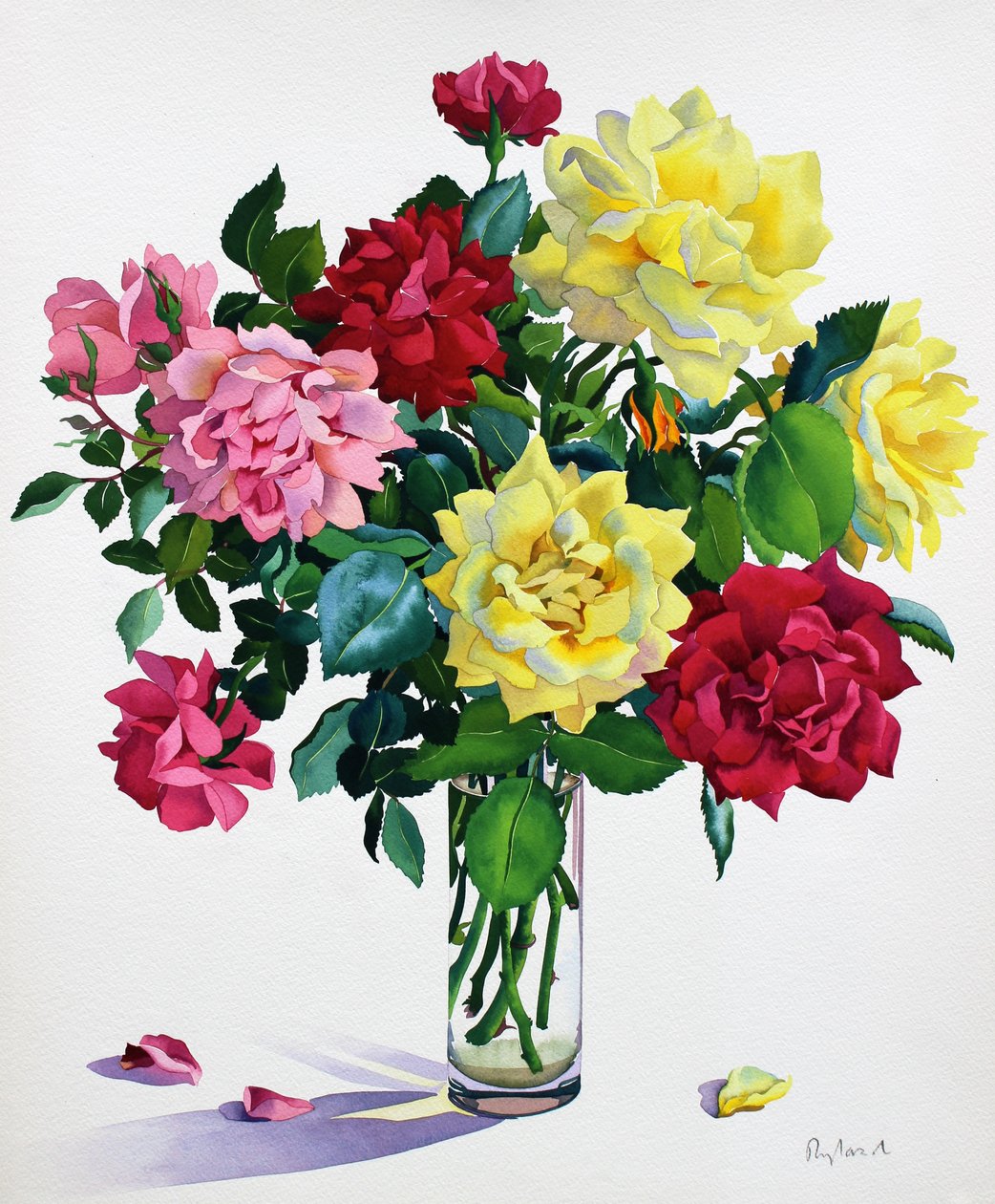 June Roses by Christopher Ryland