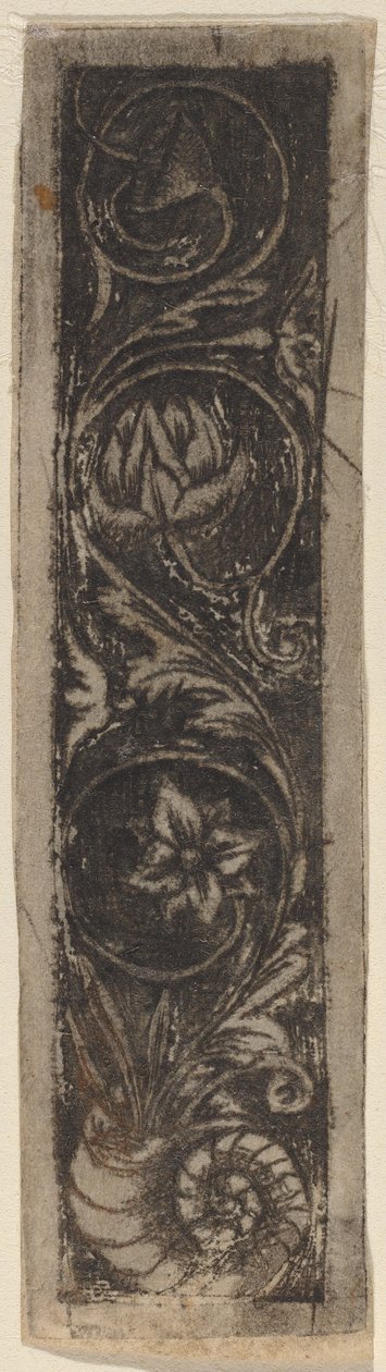 Oblong Ornament Panel by Circle of Francesco Francia