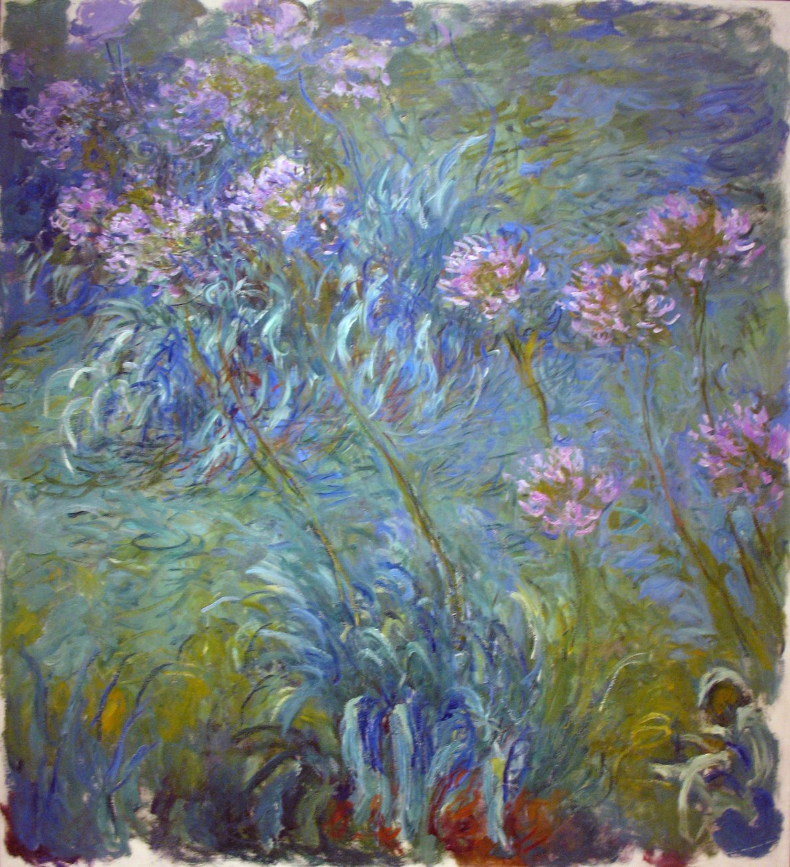 Agapanthus by Claude Monet