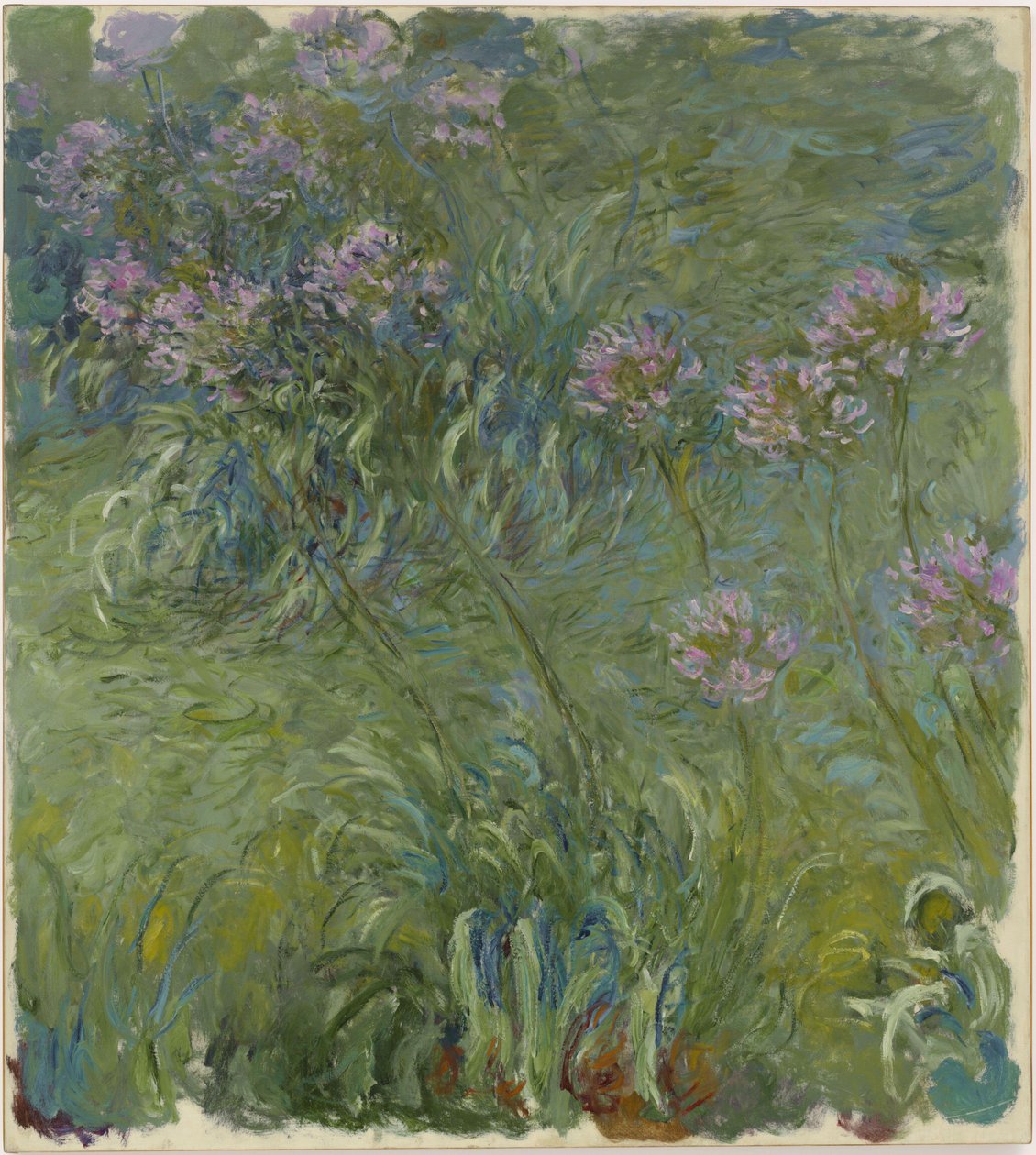 Agapanthus by Claude Monet